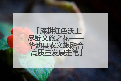 深耕红色沃土 尽绽文旅之花——华池县农文旅融合高质量发展走笔