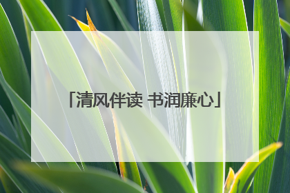 清风伴读 书润廉心