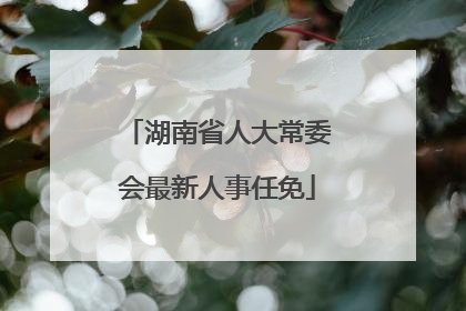 湖南省人大常委会最新人事任免