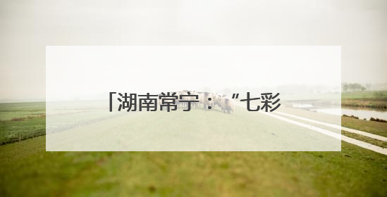 湖南常宁：“七彩”课堂鲜活有趣
