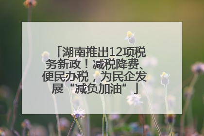 湖南推出12项税务新政！减税降费、便民办税，为民企发展“减负加油”
