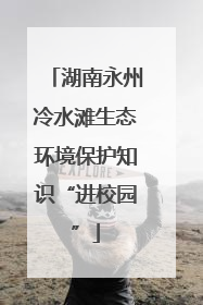 湖南永州冷水滩生态环境保护知识“进校园”
