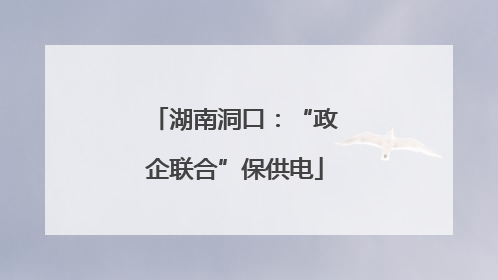 湖南洞口：“政企联合”保供电