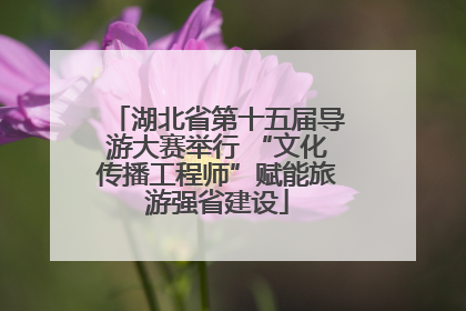 湖北省第十五届导游大赛举行 “文化传播工程师”赋能旅游强省建设