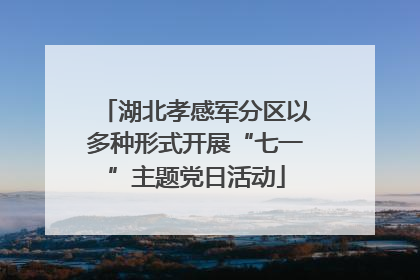 湖北孝感军分区以多种形式开展“七一”主题党日活动