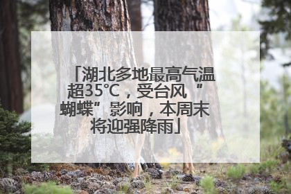 湖北多地最高气温超35℃，受台风“蝴蝶”影响，本周末将迎强降雨