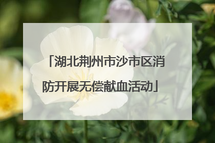 湖北荆州市沙市区消防开展无偿献血活动