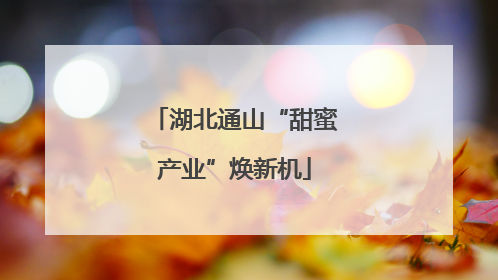 湖北通山“甜蜜产业”焕新机