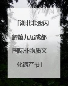 湖北非遗闪耀第九届成都国际非物质文化遗产节