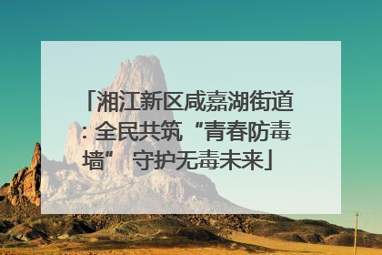 湘江新区咸嘉湖街道：全民共筑“青春防毒墙” 守护无毒未来