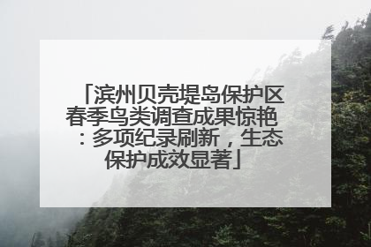 滨州贝壳堤岛保护区春季鸟类调查成果惊艳：多项纪录刷新，生态保护成效显著