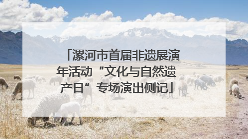 漯河市首届非遗展演年活动“文化与自然遗产日”专场演出侧记