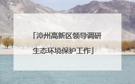 漳州高新区领导调研生态环境保护工作