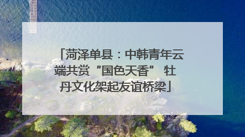 菏泽单县：中韩青年云端共赏“国色天香” 牡丹文化架起友谊桥梁