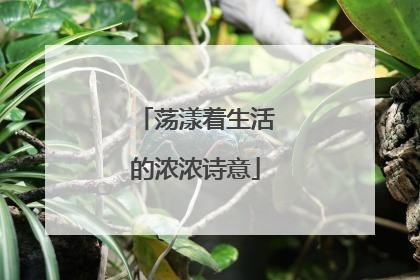 荡漾着生活的浓浓诗意