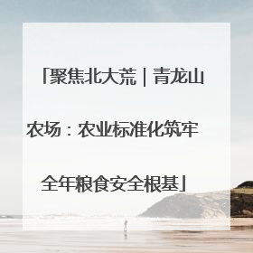 聚焦北大荒｜青龙山农场：农业标准化筑牢全年粮食安全根基