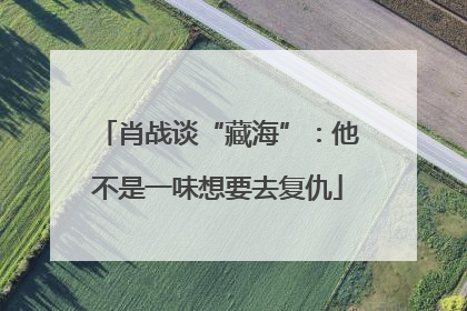 肖战谈“藏海”：他不是一味想要去复仇