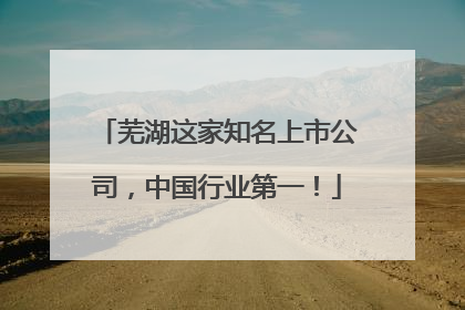 芜湖这家知名上市公司，中国行业第一！