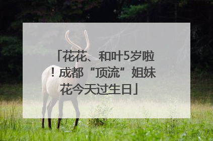 花花、和叶5岁啦！成都“顶流”姐妹花今天过生日