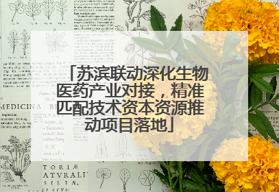 苏滨联动深化生物医药产业对接，精准匹配技术资本资源推动项目落地