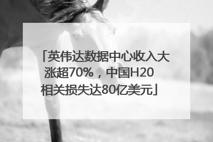 英伟达数据中心收入大涨超70%，中国H20相关损失达80亿美元