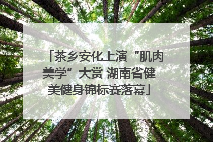 茶乡安化上演“肌肉美学”大赏 湖南省健美健身锦标赛落幕