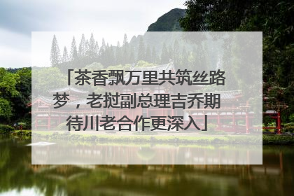 茶香飘万里共筑丝路梦，老挝副总理吉乔期待川老合作更深入