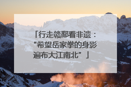 行走赣鄱看非遗：“希望岳家拳的身影遍布大江南北”