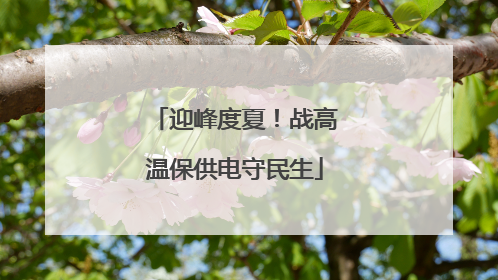 迎峰度夏！战高温保供电守民生