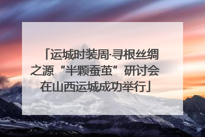 运城时装周·寻根丝绸之源“半颗蚕茧”研讨会在山西运城成功举行