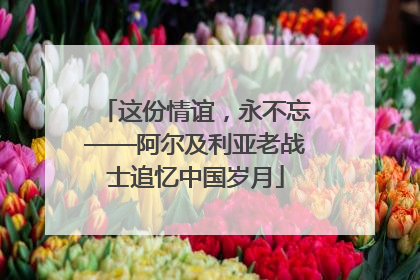 这份情谊，永不忘——阿尔及利亚老战士追忆中国岁月