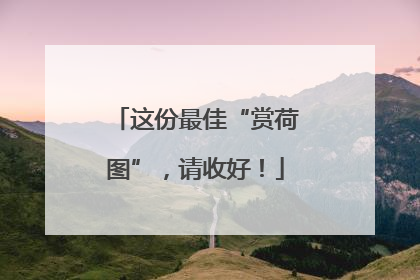 这份最佳“赏荷图”，请收好！