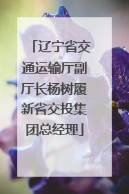 辽宁省交通运输厅副厅长杨树履新省交投集团总经理