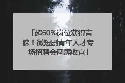 超60%岗位获得青睐！微短剧青年人才专场招聘会圆满收官