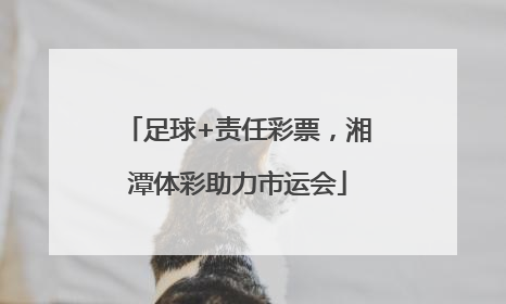 足球+责任彩票，湘潭体彩助力市运会