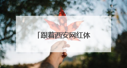 跟着西安网红体验庆阳乡村旅游