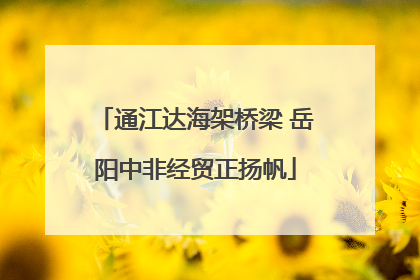 通江达海架桥梁 岳阳中非经贸正扬帆