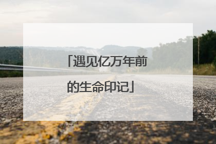 遇见亿万年前的生命印记