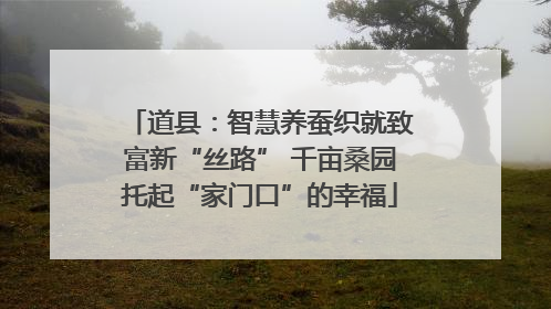 道县：智慧养蚕织就致富新“丝路” 千亩桑园托起“家门口”的幸福