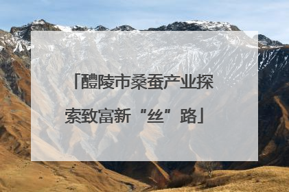 醴陵市桑蚕产业探索致富新“丝”路