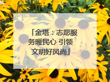 金塔：志愿服务暖民心 引领文明好风尚