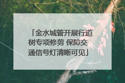 金水城管开展行道树专项修剪 保障交通信号灯清晰可见