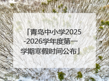 青岛中小学2025-2026学年度第一学期寒假时间公布