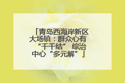 青岛西海岸新区大场镇：群众心有“千千结” 综治中心“多元解”