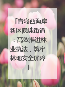 青岛西海岸新区隐珠街道：高效推进林业执法，筑牢林地安全屏障