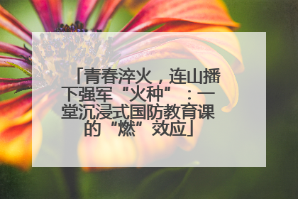 青春淬火，连山播下强军“火种”：一堂沉浸式国防教育课的“燃”效应