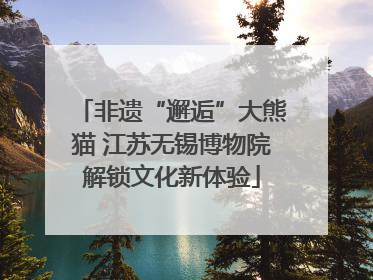 非遗“邂逅”大熊猫 江苏无锡博物院解锁文化新体验