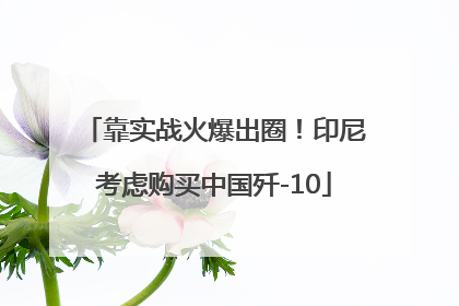 靠实战火爆出圈！印尼考虑购买中国歼-10