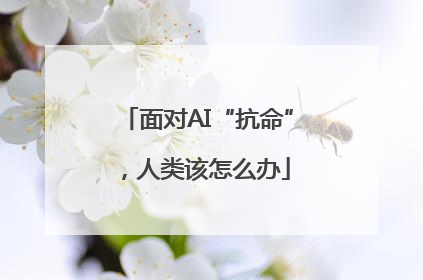 面对AI“抗命”，人类该怎么办