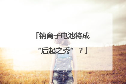 钠离子电池将成“后起之秀”？